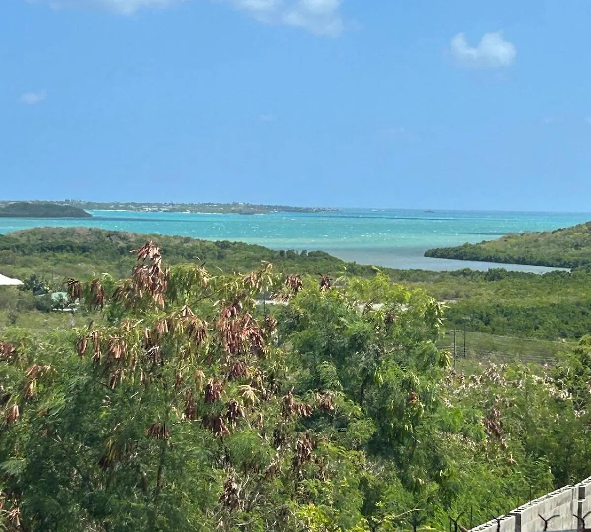 Lägenhet Turtle Bay Oceanview Suite - Sleeps 2 Saint Marks Village Antigua och Barbuda